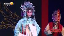 国风秦韵精编版（2026-07-28）