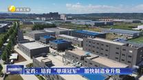宝鸡：培育“单项冠军” 加快制造业升级