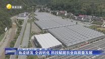 杨凌研发 全省转化 科技赋能农业高质量发展
