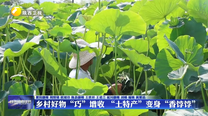 乡村好物“巧”增收 “土特产”变身“香饽饽”