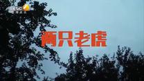 百家碎戏 (2026-08-04)