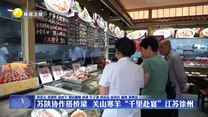 苏陕协作搭桥梁 关山寒羊“千里赴宴”江苏徐州