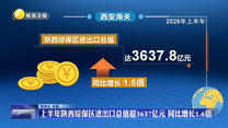 上半年陕西综保区进出口总值超3637亿元 同比增长1.6倍