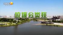 百家碎戏 (2026-08-07)