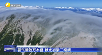 暑气渐敛万木盛 秋光初染三秦新