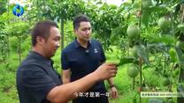 中国农资秀 (2026-08-07)