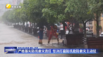 严格落实防汛救灾责任 坚决打赢防汛抢险救灾主动仗
