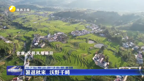 暑退秋来 沃野千畴