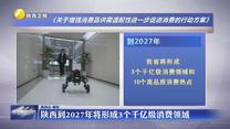 陕西到2027年将形成3个千亿级消费领域