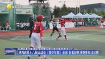 陕西省第十八届运动会（青少年组）垒球 羽毛球两项赛事同日完赛