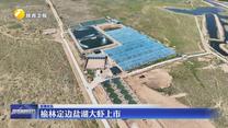 榆林定边盐湖大虾上市