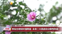晚间新闻站 (2026-08-13)