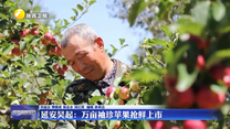 延安吴起：万亩袖珍苹果抢鲜上市
