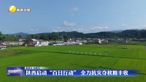 陕西启动“百日行动” 全力抗灾夺秋粮丰收
