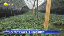 特色产业结硕果 多元发展助增收