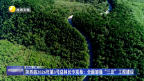 陕西省2026年第3号总林长令发布：全面加强“三北”工程建设
