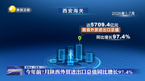 今年前7月陕西外贸进出口总值同比增长97.4%