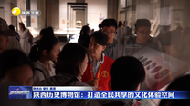 陕西历史博物馆：打造全民共享的文化体验空间