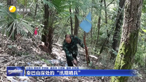 秦巴山深处的“汛期哨兵”