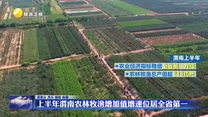 上半年渭南农林牧渔增加值增速位居全省第一
