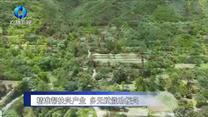 农村大市场（2026-08-17）