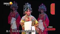国风秦韵精编版（2026-08-19）