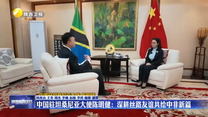 中国驻坦桑尼亚大使陈明健：深耕丝路友谊共绘中非新篇