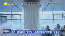 陕西：将实验室“好种子”加速培育为产业发展“金果子”