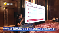 西北首条8英寸硅光中试平台的核心工艺数据首次公开