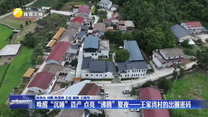 唤醒“沉睡”资产 点亮“沸腾”夏夜——王家湾村的出圈密码