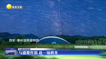 与盛夏作别 赴一场秋光