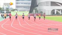 陕西体育（2026-08-24）