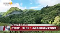 晚间新闻站（2026-08-24）