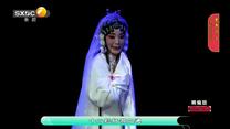 国风秦韵精编版（2026-08-25）