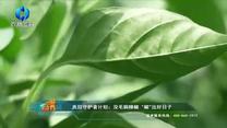中国农资秀（2026-08-25）