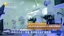 陕西出台若干措施 推进服务业扩能提质