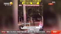 都市热线 (2026-08-29)