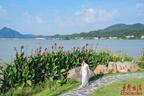 【“湘”当自觉自信自强】桃江：把“小洱海”种进湘北山野