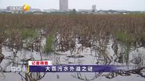 今日点击 (2026-08-29)