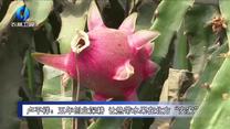 农村大市场 (2026-08-28)
