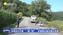 各地及时开展“一喷三防”   盯紧防灾减灾抓好秋管