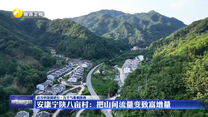 安康宁陕八亩村：把山间流量变致富增量