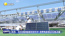 陕西：科技创新赋能民营经济 消费焕新激活发展动能