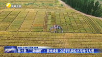 第十批“三秦楷模”：微光成炬 立足平凡岗位书写时代大爱