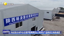杨凌国合海外仓在俄罗斯揭牌投运 陕西农产品再添出海新通道