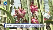 农村大市场 (2026-09-01)