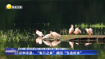 汉中洋县：“朱鹮之乡”淌出“生态好水”