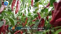 中国农资秀（2026-09-02）