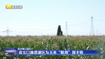 省交口抽渭灌区为玉米“解渴”保丰收