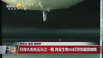 晚间新闻站（2026-09-03）